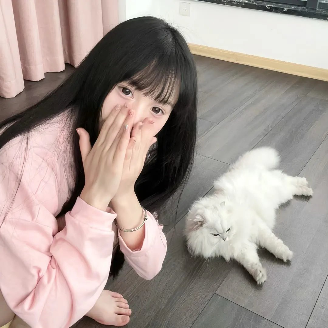 美人与流血事件